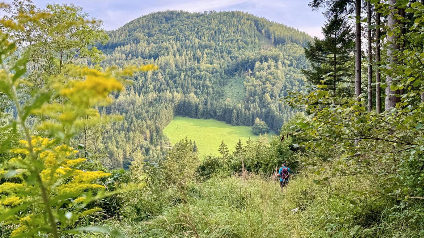 Rundwanderweg am Maisberg: Gipfel, Schmiedekunst und versteckte Höhlen