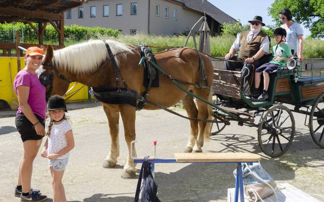 Reiten im Urlaub