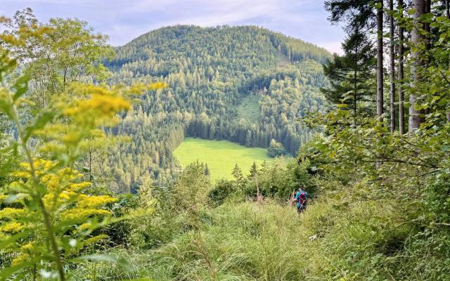 Rundwanderweg am Maisberg: Gipfel, Schmiedekunst und versteckte Höhlen