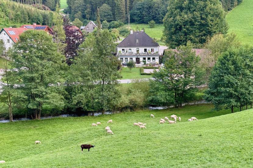 Rundwanderweg am Maisberg: Gipfel, Schmiedekunst und versteckte Höhlen