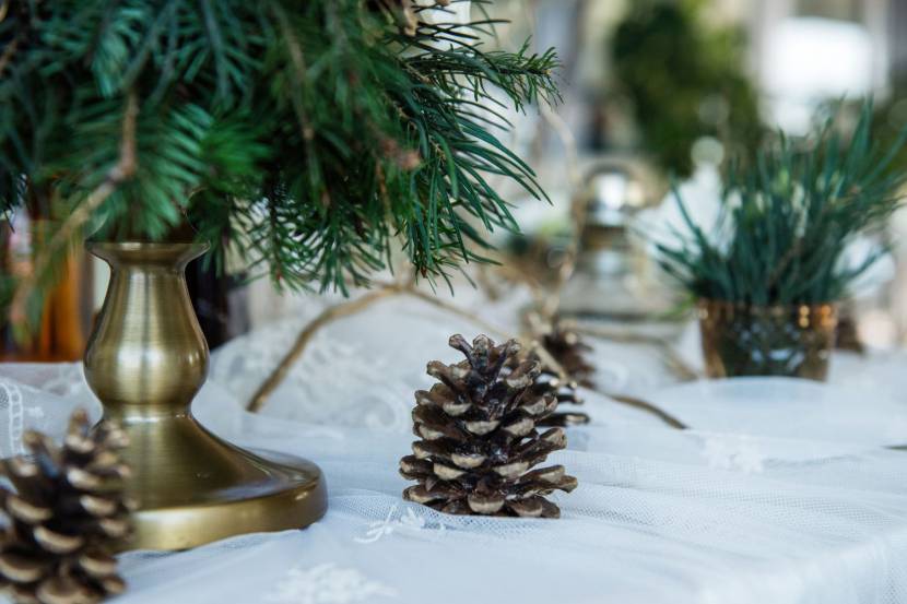 Winterhochzeit im Schloss: Ein Märchen im Schnee